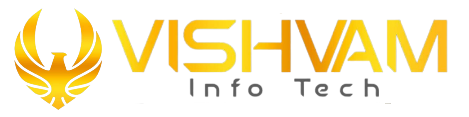 Vishvam InfoTech